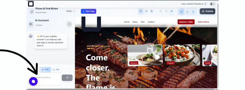 A screenshot of olitt ai editor